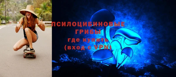 крисы Волоколамск