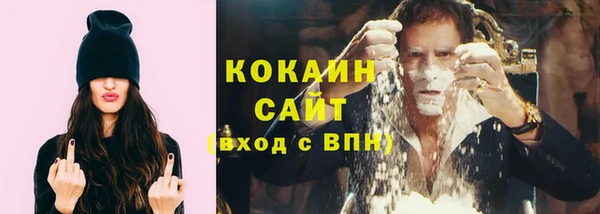 гашик Горняк