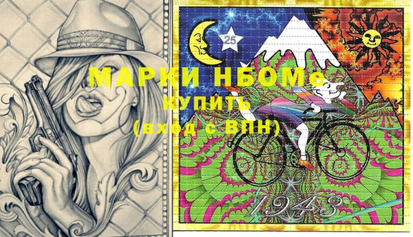 гашик Горняк
