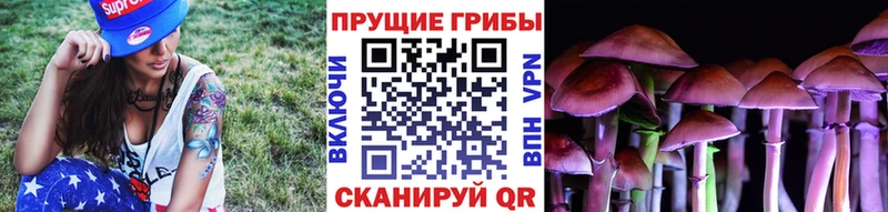 Купить где  Островной  Галлюциногенные грибы Psilocybine cubensis 